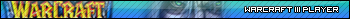 Warcraft III Frozen Throne Player