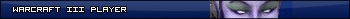 Warcraft III Player