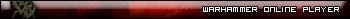 Warhammer Online: Age of Reckoning