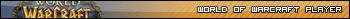 World of Warcraft Player