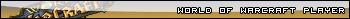 WoW Player
