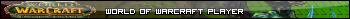 WoW player