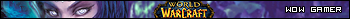WoW Gamer 2
