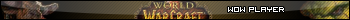 World Of WarCraft Player