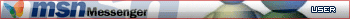 MSN Messenger User