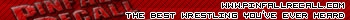 Pinfall Recaller2