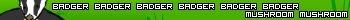 bagder