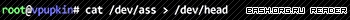 Bash.org.ru reader