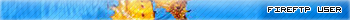 FireFTP
