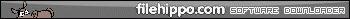 FileHippo Software Downloader