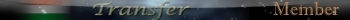 Transfer-Member