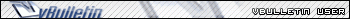 vBulletin User
